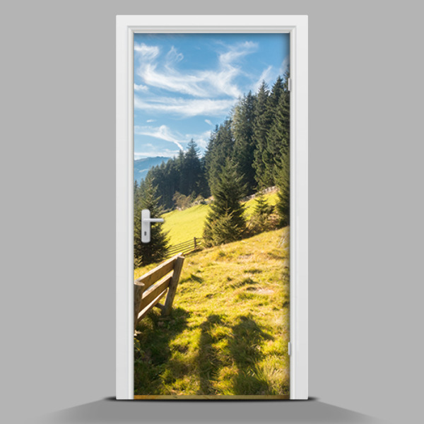 Papel para forrar puerta En el pasillo