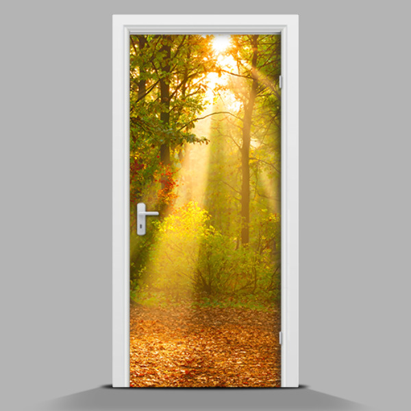 Papel adhesivo para puerta Hermoso bosque por la mañana
