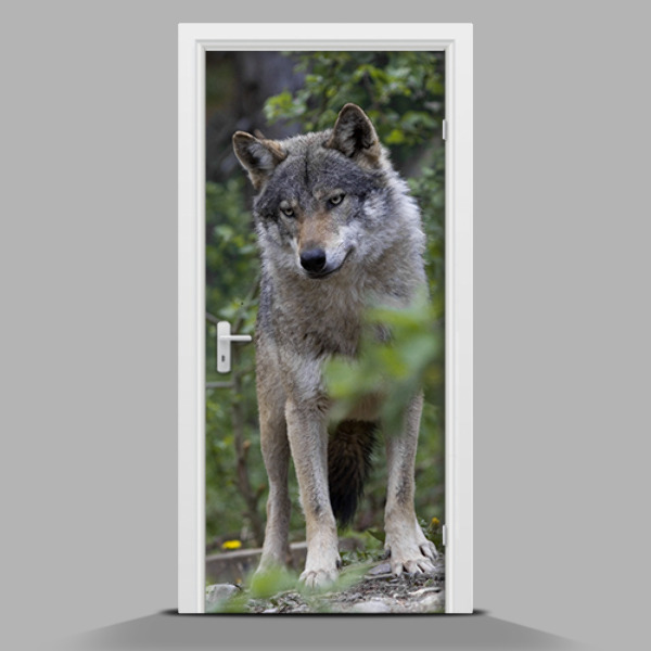Papel adhesivo para puerta El lobo majestuoso