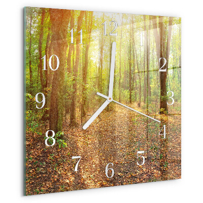 Reloj cuadrado Sendero forestal