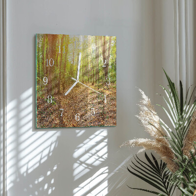 Reloj cuadrado Sendero forestal