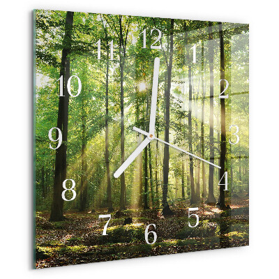 Reloj cuadrado Naturaleza del bosque