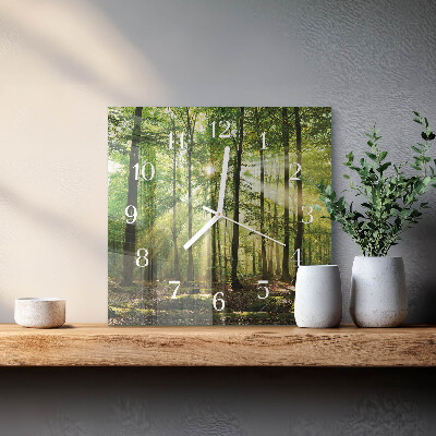 Reloj cuadrado Naturaleza del bosque