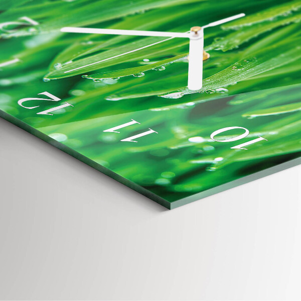 Reloj cuadrado Hierba verde