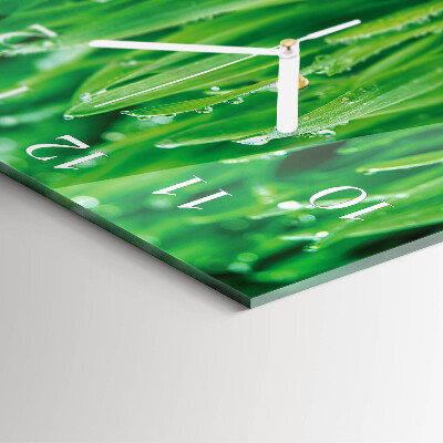 Reloj cuadrado Hierba verde