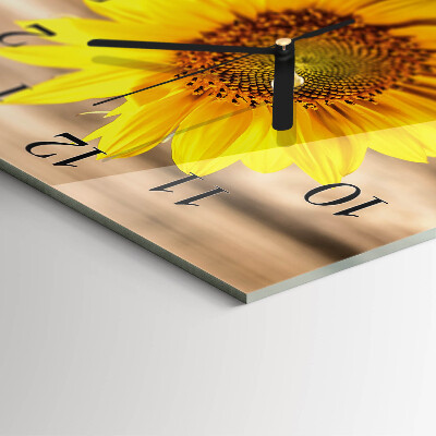 Reloj de vidrio Girasol