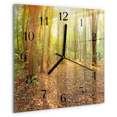 Reloj de vidrio Sendero forestal