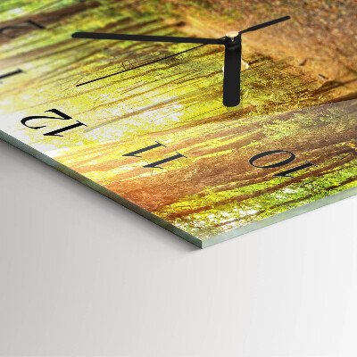 Reloj de vidrio Sendero forestal