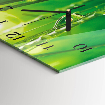 Reloj de vidrio Gotas de hierba