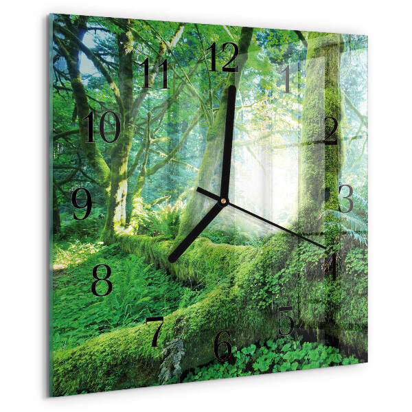 Reloj de vidrio Musgo del bosque
