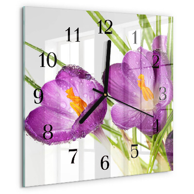 Reloj de vidrio Crocos
