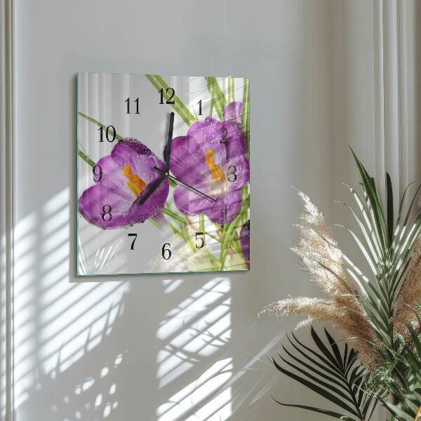 Reloj de vidrio Crocos