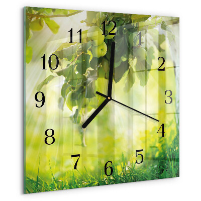 Reloj de vidrio Manzano