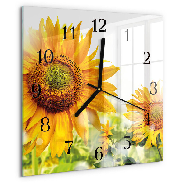 Reloj de vidrio Girasol