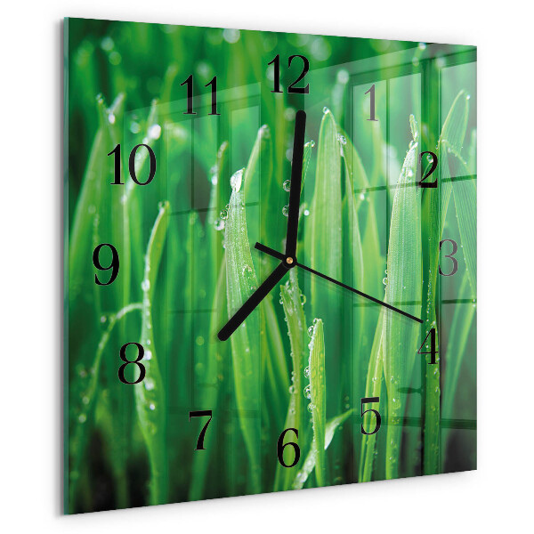 Reloj de vidrio Hierba verde