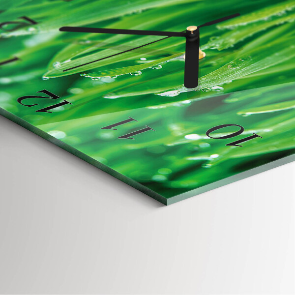 Reloj de vidrio Hierba verde