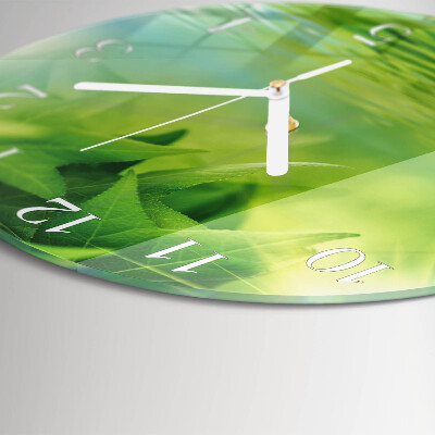 Reloj de pared redondo Hojas