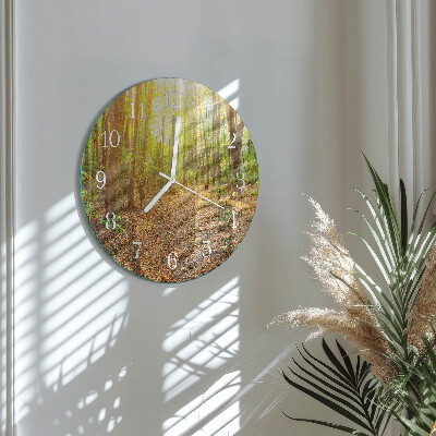 Reloj de pared redondo Sendero forestal