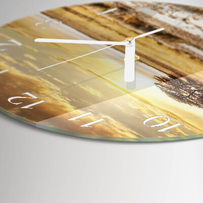 Reloj de pared redondo cebras