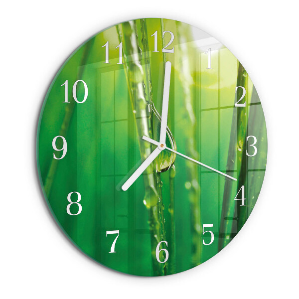Reloj de pared redondo Gotas de hierba