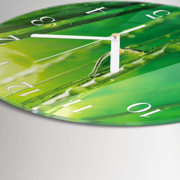 Reloj de pared redondo Gotas de hierba
