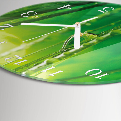 Reloj de pared redondo Gotas de hierba