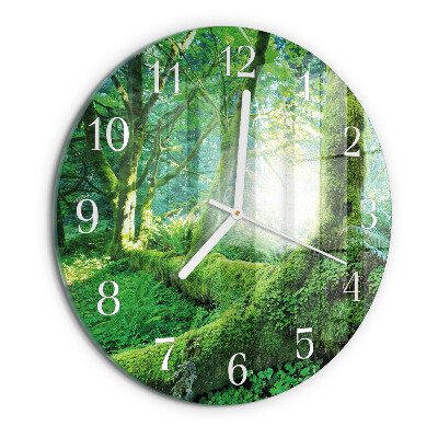 Reloj de pared redondo Musgo del bosque