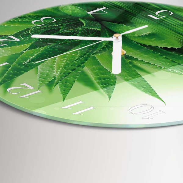 Reloj de pared redondo Áloe