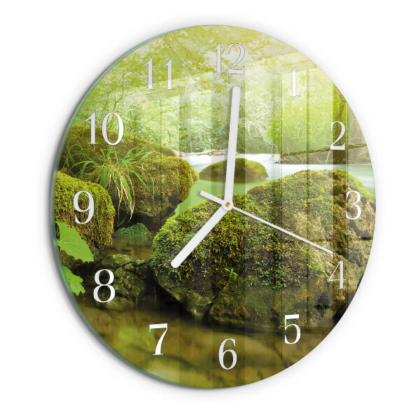 Reloj de pared redondo Naturaleza