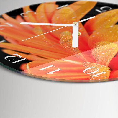 Reloj de pared redondo Gerbera
