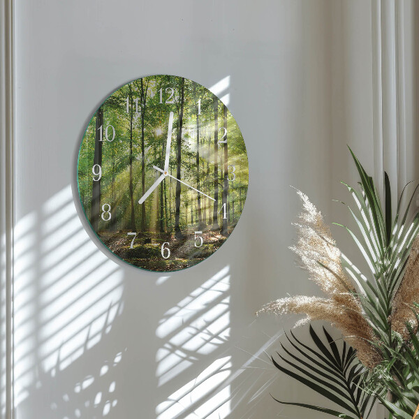 Reloj de pared redondo Naturaleza del bosque