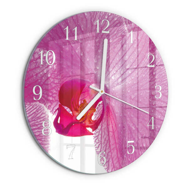 Reloj de pared redondo Orquídea