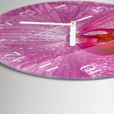Reloj de pared redondo Orquídea