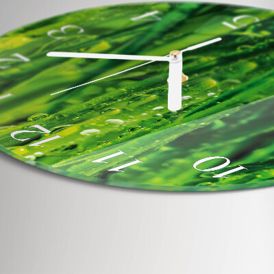 Reloj de pared redondo Césped