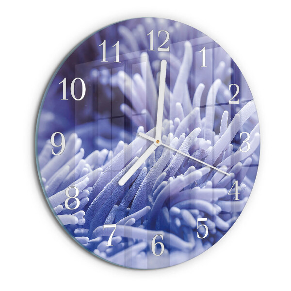 Reloj de pared redondo Anémona