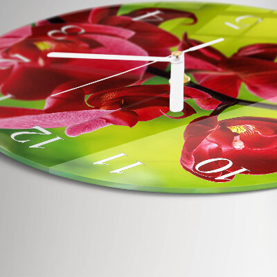 Reloj de pared redondo Orquídea