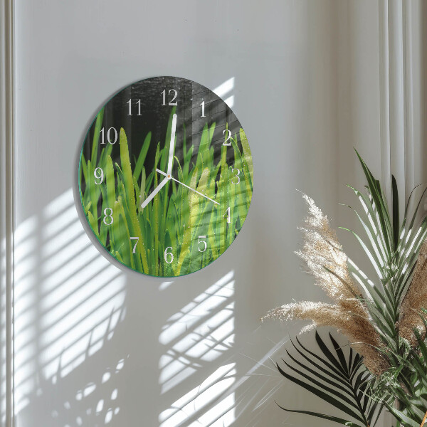 Reloj de pared redondo Césped