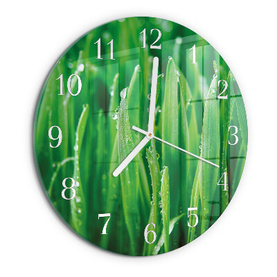 Reloj de pared redondo Hierba verde