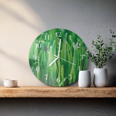 Reloj de pared redondo Hierba verde