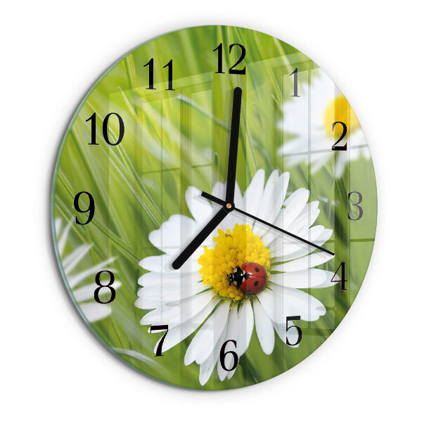 Reloj de pared redondo Margaritas