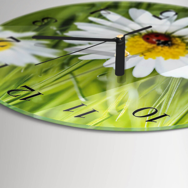 Reloj de pared redondo Margaritas