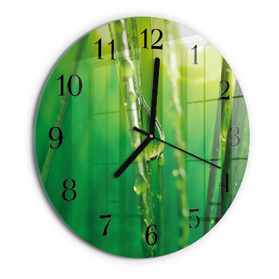Reloj de pared redondo Gotas de hierba