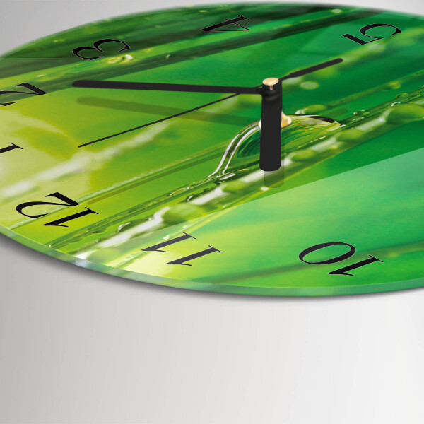 Reloj de pared redondo Gotas de hierba