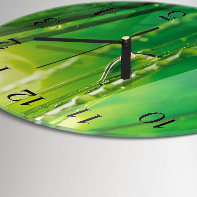 Reloj de pared redondo Gotas de hierba