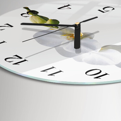 Reloj de pared redondo Orquídea