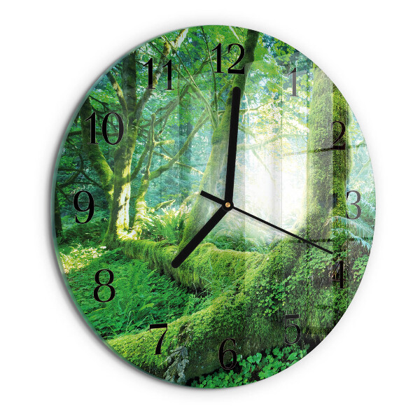 Reloj de pared redondo Musgo del bosque