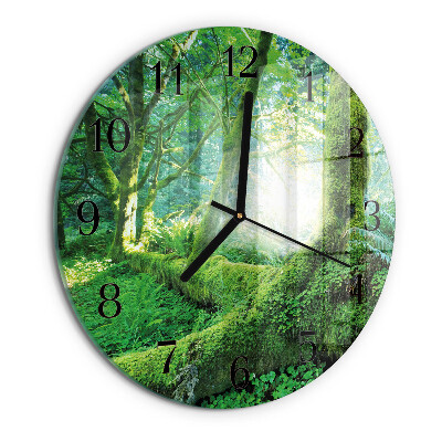 Reloj de pared redondo Musgo del bosque