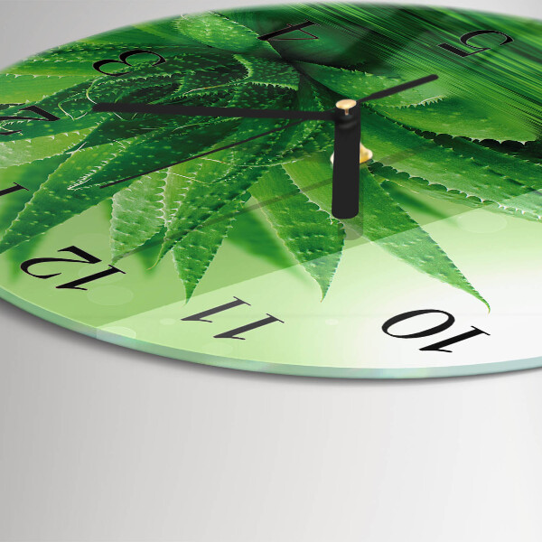 Reloj de pared redondo Áloe