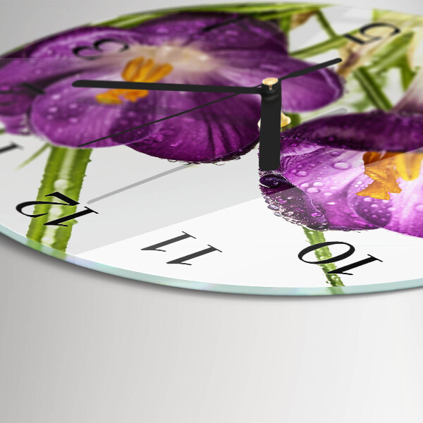 Reloj de pared redondo Crocos
