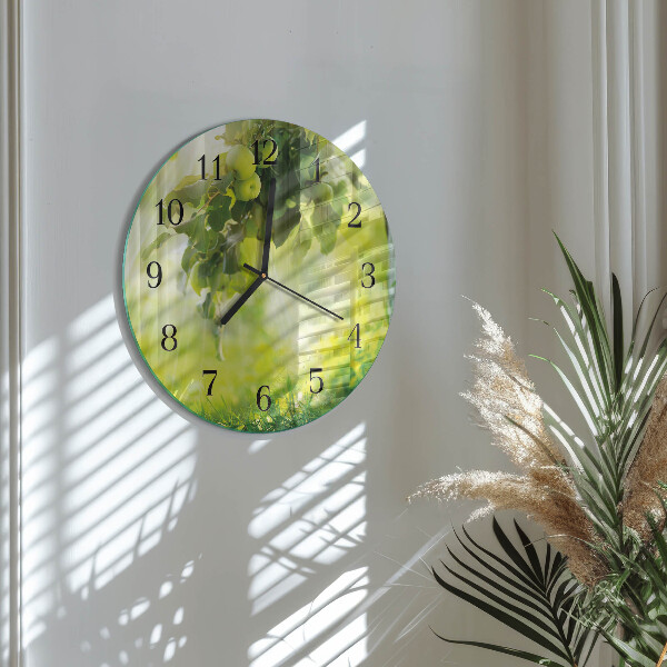 Reloj de pared redondo Manzano